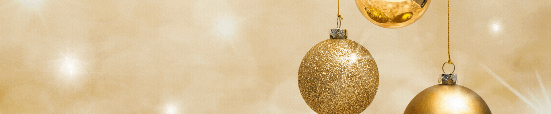 Bannière site NOEL 2025